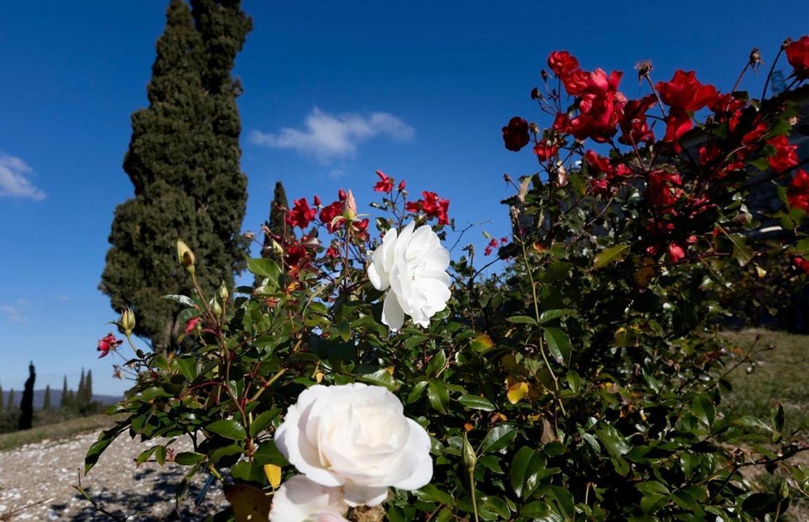 Agriturismo Il Ghiaccio Suvereto Exterior foto